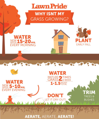 You spread it, watered it, and waited.