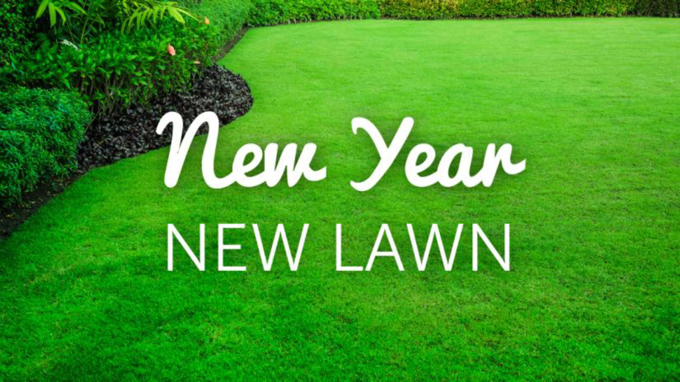 A lush green lawn bordered by trimmed bushes and plants.