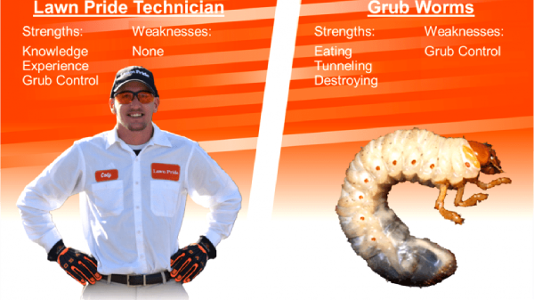 Side-by-side comparison of a smiling Lawn Pride technician and a grub worm.