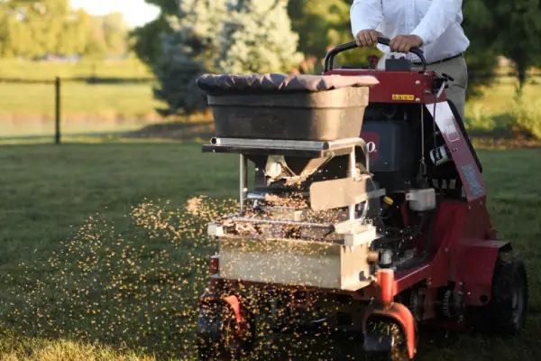 overseeding along with aeration