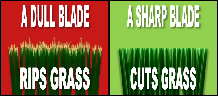 Soil shading-tall Vs Short