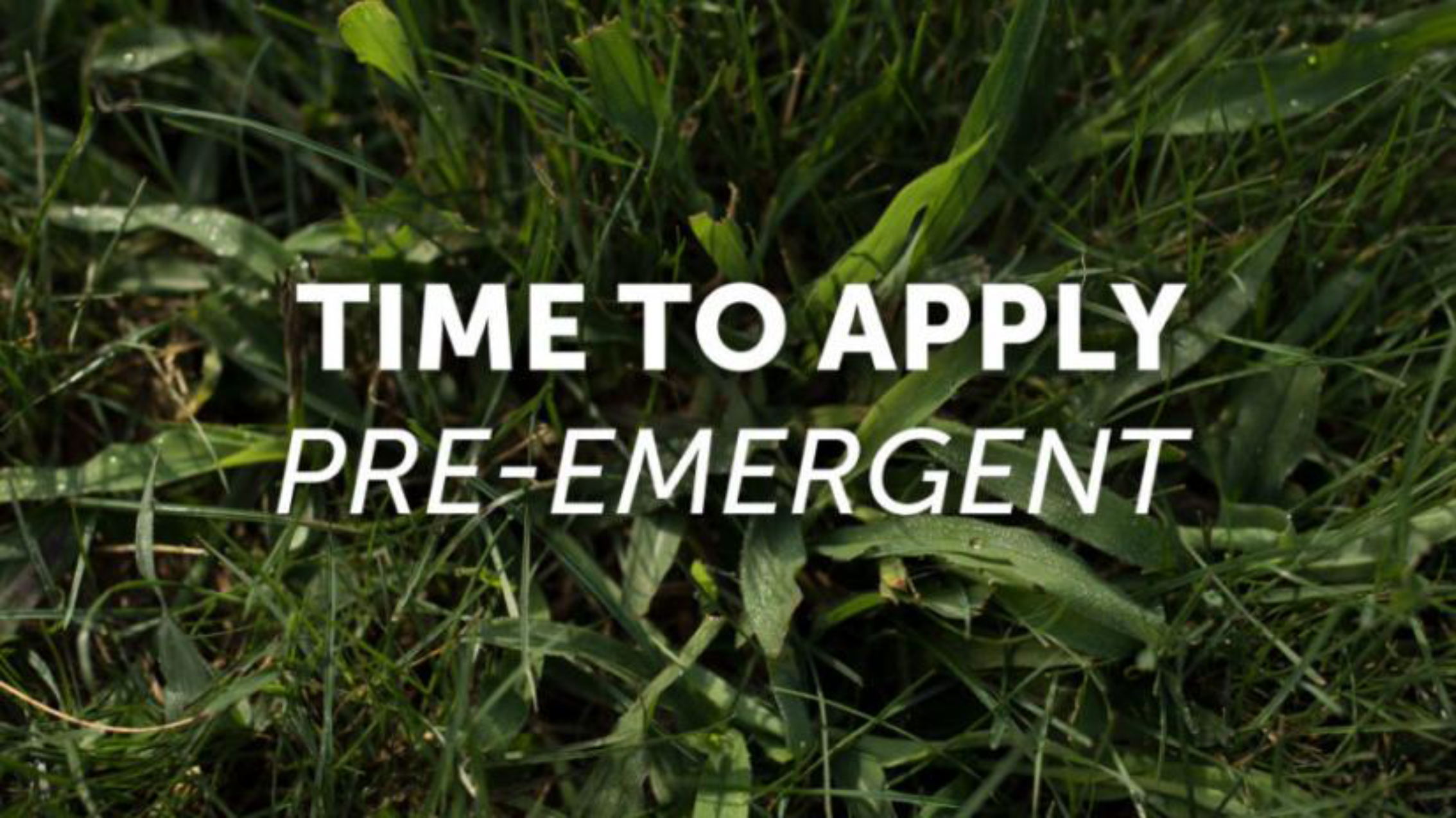 Grass background with text:Time to apply pre-emergent