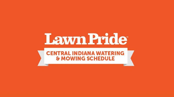 Infographic Calendar.