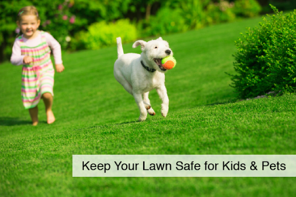 Keep Your Lawn Safe for Kids & Pets - Lawn Pride Products and Best Practices