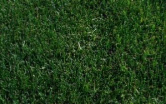 Lawn Pride Indianapolis fertilizer and weed control.