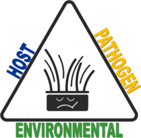 Disease Triangle. Host, Pathogen, Environmental
